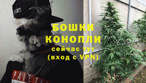 стафф Богородск
